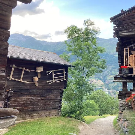 Hotel Lifestyle&spa Grächerhof 3*