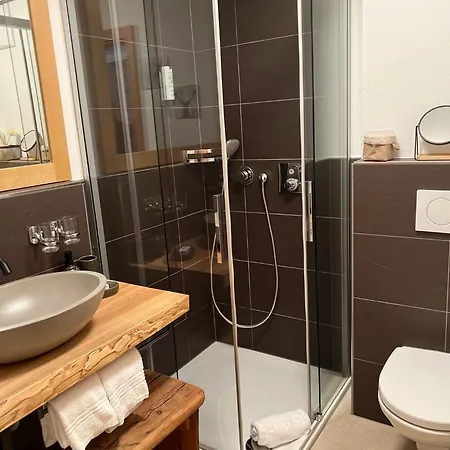 Lifestyle & Graecherhof Ξενοδοχείο 3*