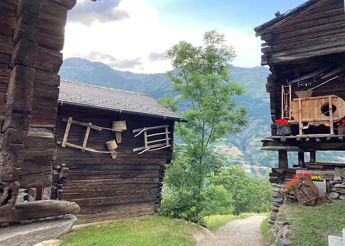 Hotel Lifestyle&spa Grächerhof 3*